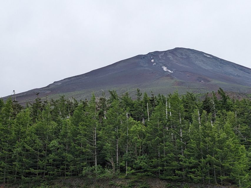 From Tokyo: Mt. Fuji & Hakone Tour w/ Return by Bullet Train - The guides make the long day easier
