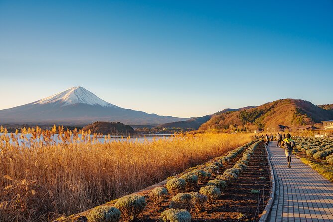 From Tokyo Mt.Fuji, Lake Kawaguchi, Makaino Farm day tour - Oishi Park and the first Fuji photographs