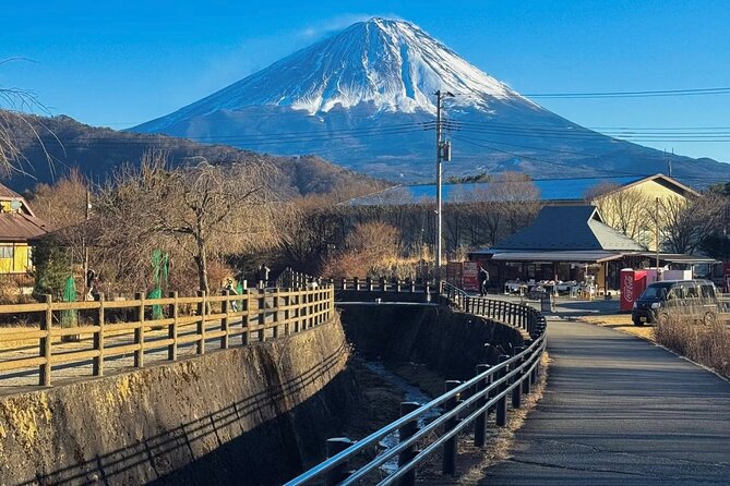 From Tokyo Mt.Fuji, Lake Kawaguchi, Makaino Farm day tour - What the guide and bus arrangement are like