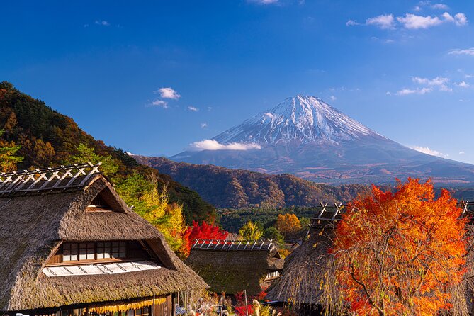 From Tokyo Mt.Fuji, Lake Kawaguchi, Makaino Farm day tour - The traffic problem on the way back