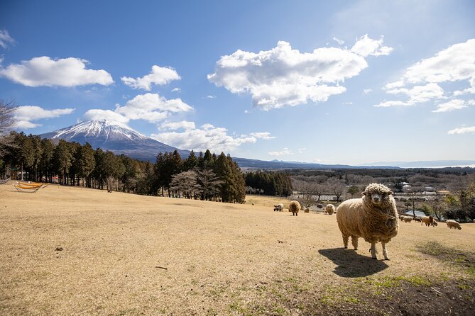 From Tokyo Mt.Fuji, Lake Kawaguchi, Makaino Farm day tour - Who will enjoy this day most