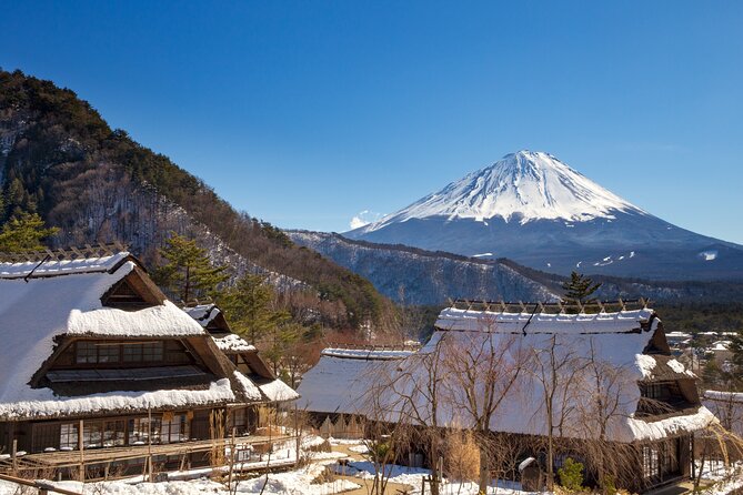 From Tokyo Mt.Fuji, Lake Kawaguchi, Makaino Farm day tour - Practical advice before you book