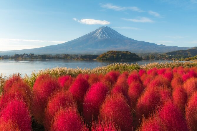 From Tokyo Mt.Fuji, Lake Kawaguchi, Makaino Farm day tour - Saiko Iyashi no Sato Nemba and its thatched roofs
