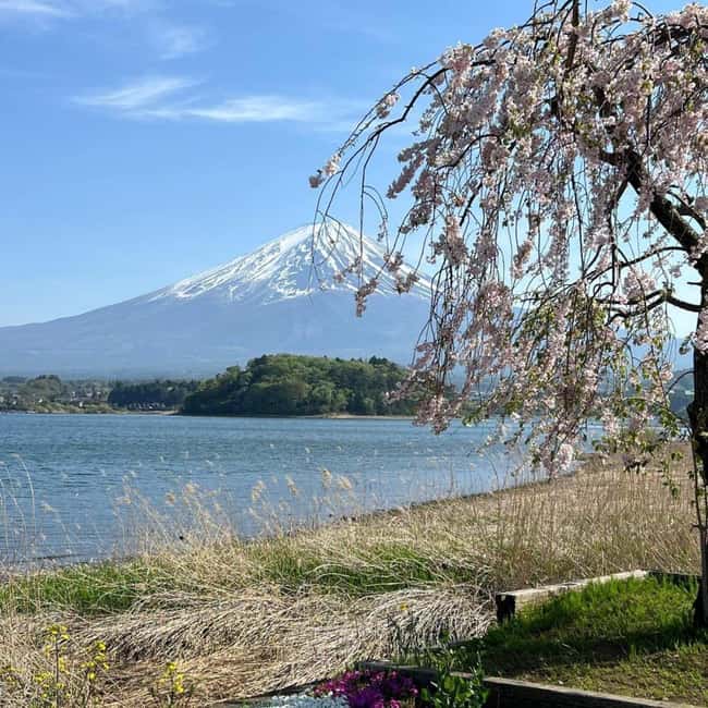 From Tokyo: Mt Fuji Private Day Tour In Luxury Land Cruiser - Chureito Pagoda and Arakurayama Sengen Park