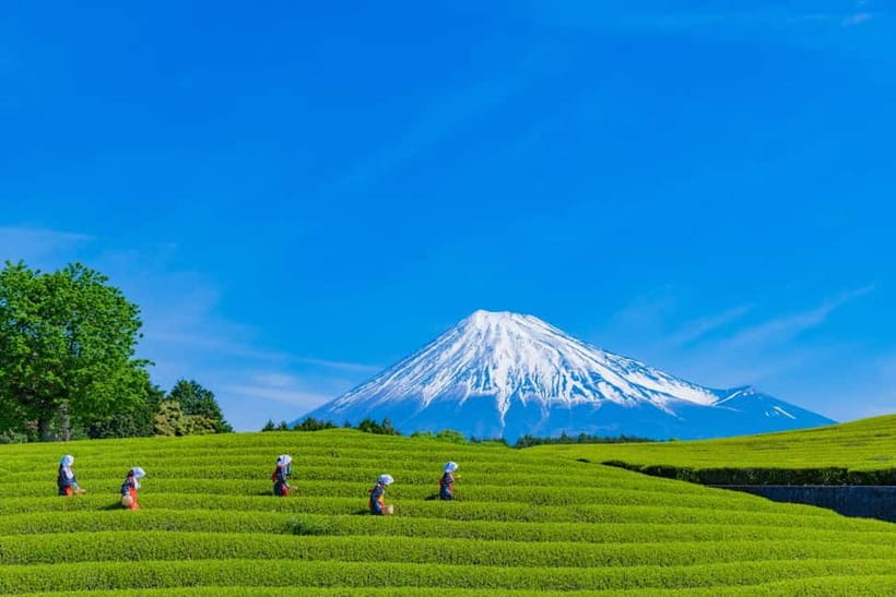 From Tokyo: Must-Visit Mount Fuji Highlight Full-Day Tour - Shimoyoshida Honcho Street and Lawson Fujikawaguchiko