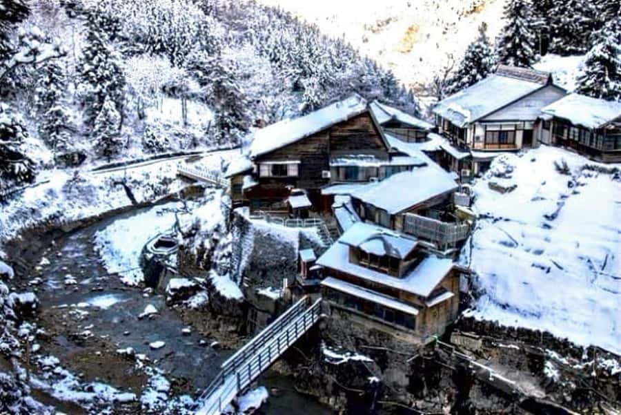 From Tokyo: Nagano Full Day Private Snow Monkey Park Tour - Zenkoji Temple adds meaning to the day