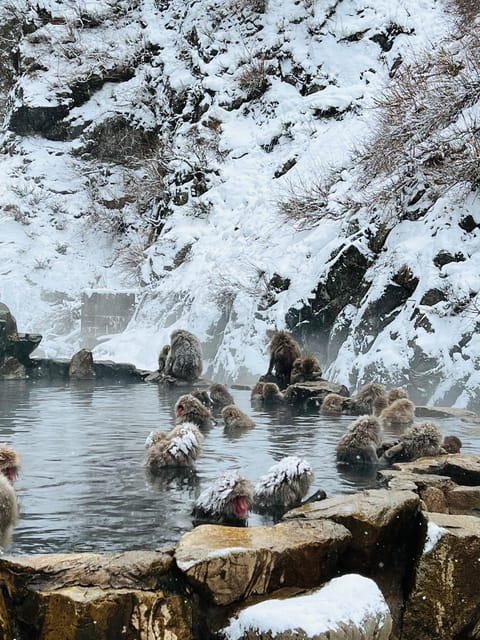 From Tokyo: Nagano Snow Monkey Park Zenkoji Temple Day Trip - Obuse brings chestnuts, art, and a slower pace