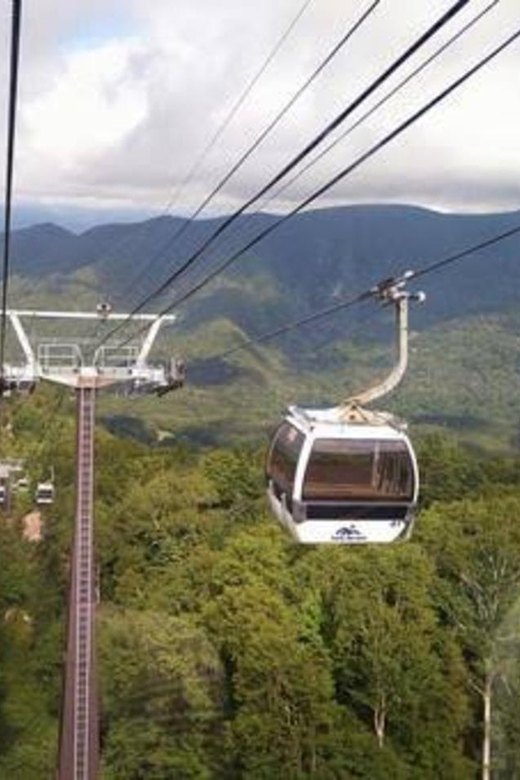From Tokyo: Nikko luxury Tour with English-speaking Guide - Why Nikko makes a strong day trip from Tokyo