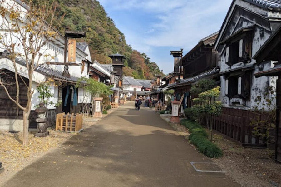 From Tokyo: Nikko luxury Tour with English-speaking Guide - Kinugawa Onsen brings hot-spring country into the route