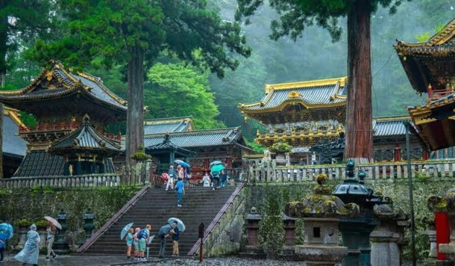 From Tokyo: Nikko luxury Tour with English-speaking Guide - Kegon Falls closes the day with real drama