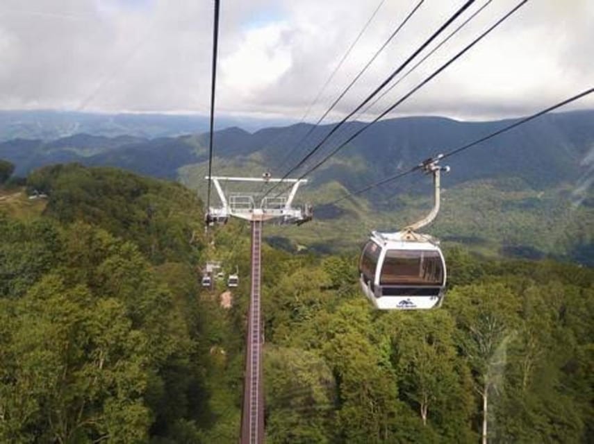 From Tokyo: Nikko luxury Tour with English-speaking Guide