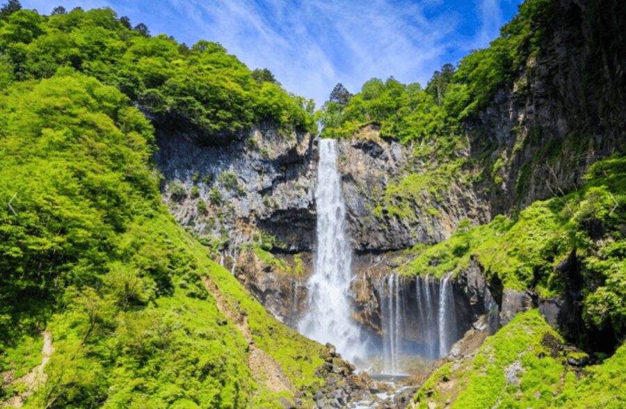From Tokyo: Nikko Toshogu Day tour with Traditional Lunch - What this $90 Nikko day trip actually gives you