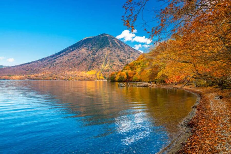 From Tokyo: Nikko Toshogu Day tour with Traditional Lunch - The long road from Tokyo to Nikko