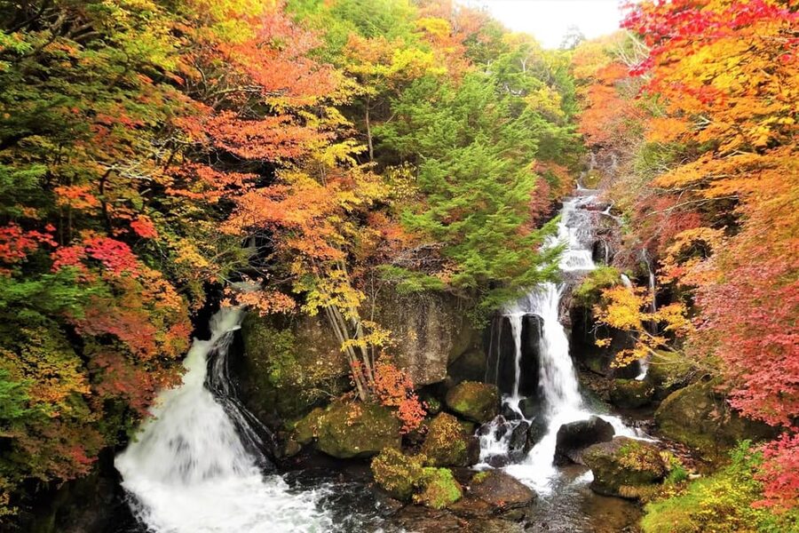 From Tokyo: Nikko World Heritage Site Private Full-Day Trip - Kegon Falls, Nikko’s dramatic natural stop