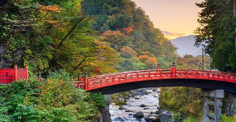 From Tokyo: Nikko World Heritage Site Private Full-Day Trip - Rinno-ji Temple and Shinkyo Bridge