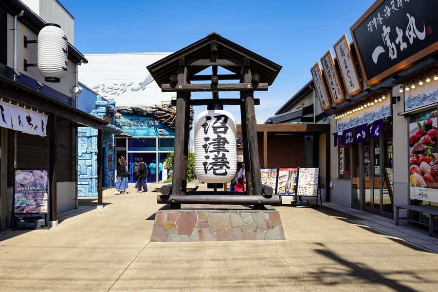 From Tokyo: Numazu Port and Gotemba Outlets Day Tour - Why this Tokyo day trip works