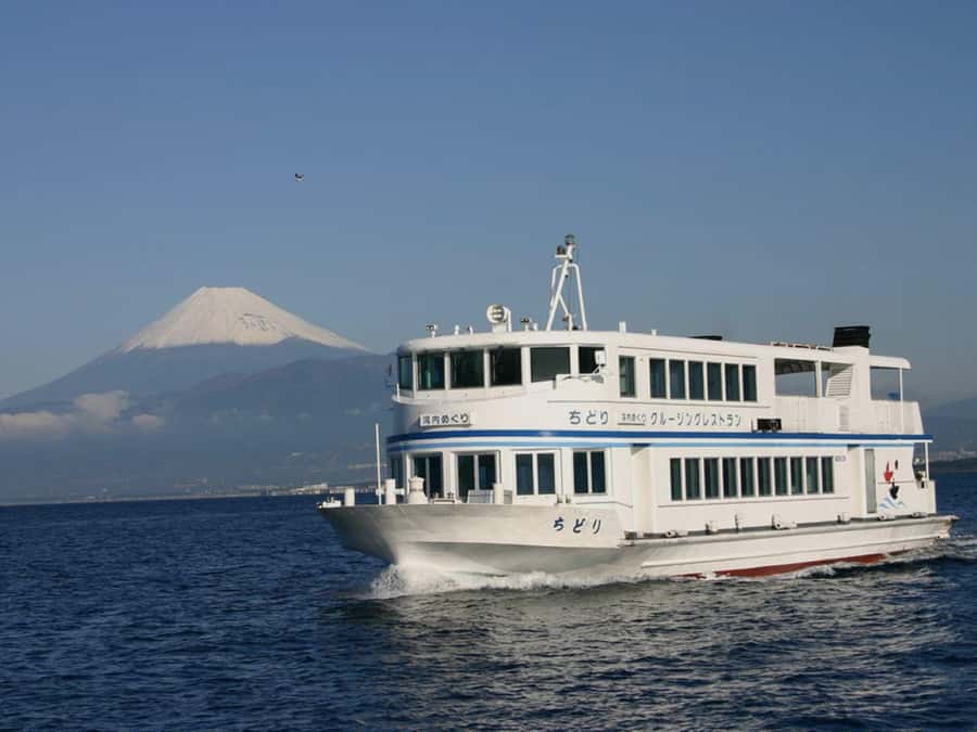 From Tokyo: Numazu Port and Gotemba Outlets Day Tour - Boat rides, seagulls, and the View-O deck