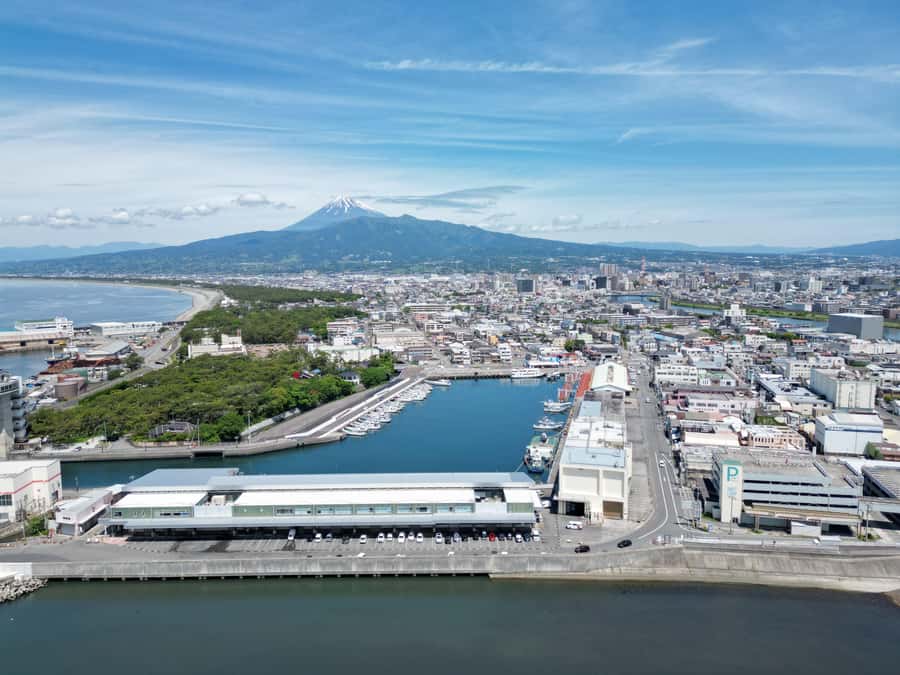 From Tokyo: Numazu Port and Gotemba Outlets Day Tour - Is there time for Kinohana Onsen?