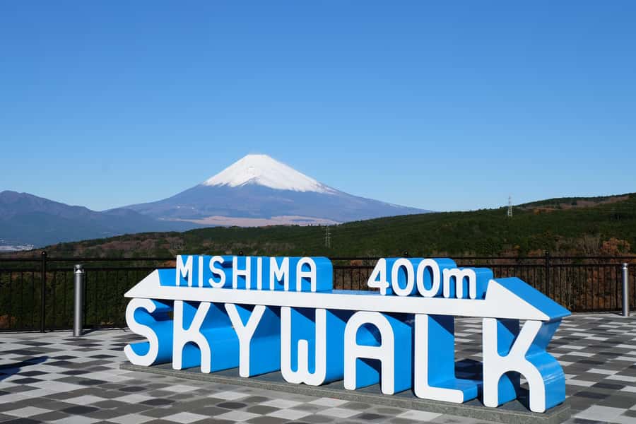 From Tokyo: Numazu Port and Gotemba Outlets Day Tour - Meeting at Tokyo Station at 9:40