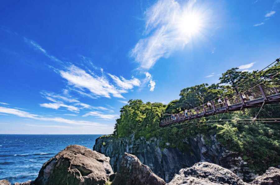 From Tokyo: Private Day Trip to Izu & Shimoda, Shizuoka - Why Shimoda makes a rewarding day from Tokyo