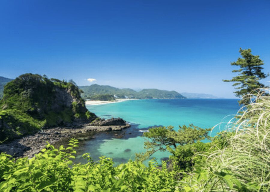 From Tokyo: Private Day Trip to Izu & Shimoda, Shizuoka - Ryosenji Temple and the treaty that changed Shimoda