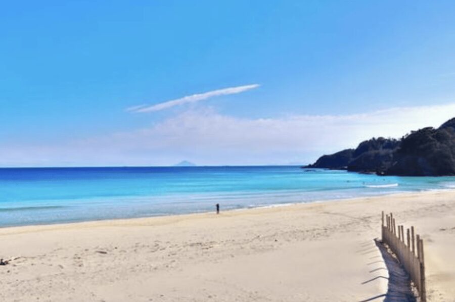 From Tokyo: Private Day Trip to Izu & Shimoda, Shizuoka - Shirahama Beach for sand, water, and a slower hour