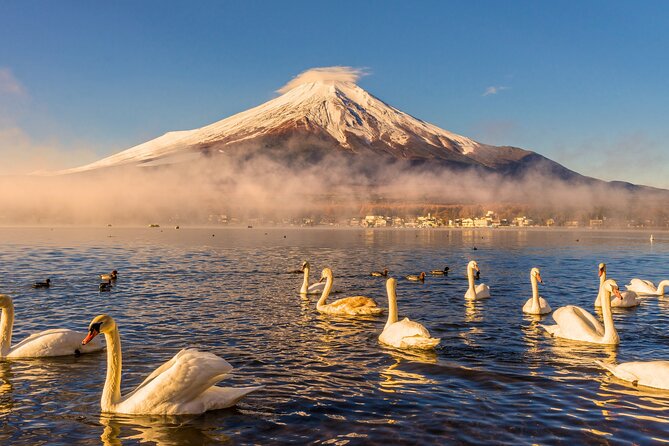 From Tokyo: Private Day Trip to Mount Fuji & Fuji Five lakes - Why this private Fuji trip works from Tokyo