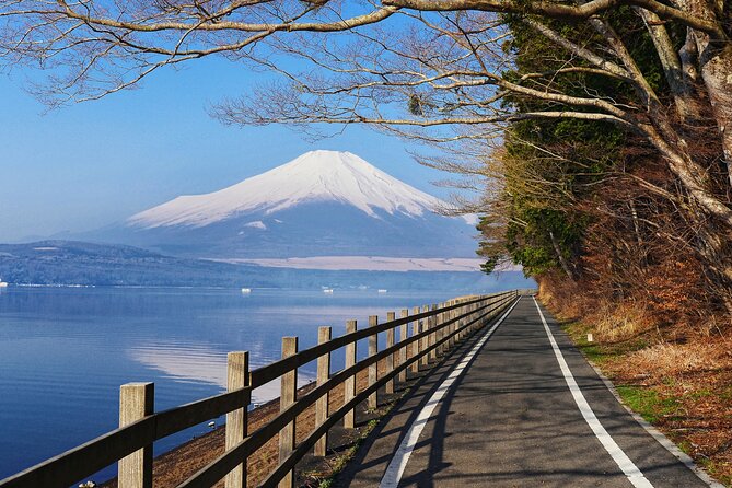 From Tokyo: Private Day Trip to Mount Fuji & Fuji Five lakes - How the guide and private car shape the day