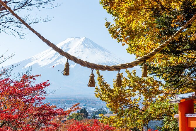 From Tokyo: Private Day Trip to Mount Fuji & Fuji Five lakes - Oshino Hakkai and its eight spring-fed ponds