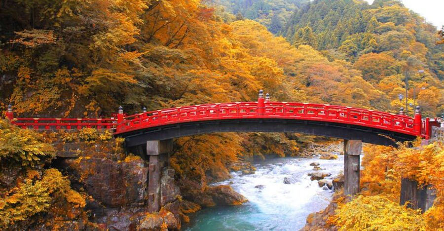 From Tokyo: Private Day Trip to Nikko and Lake Chuzenji - Toshogu Shrine and the world of Tokugawa Ieyasu