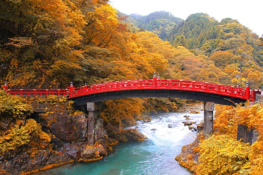 From Tokyo: Private Day Trip to Nikko and Lake Chuzenji - A private car changes the pace of the day