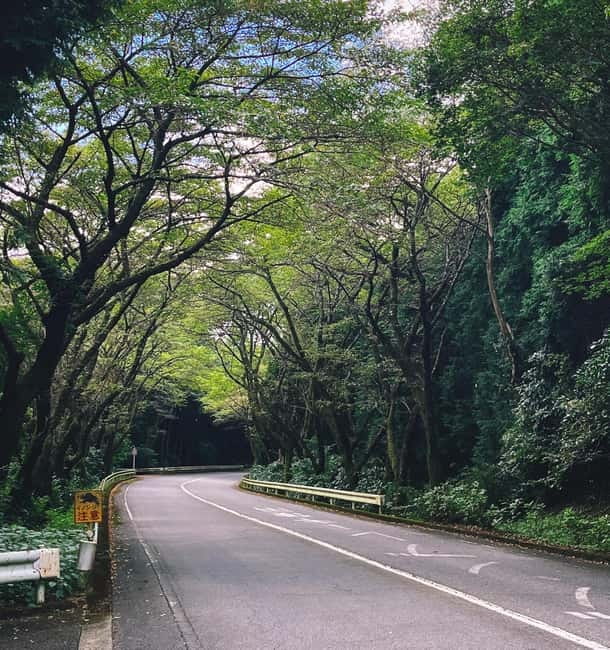 From Tokyo: Private JDM/Sports Car Tour to Mt Fuji & Hakone - Tenzan Onsen is more than a lunch stop