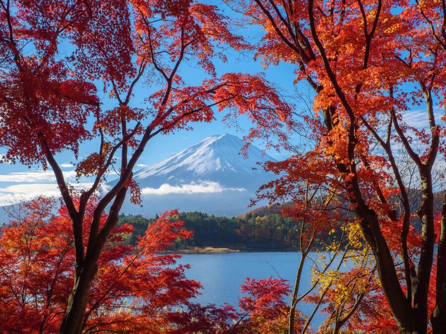 From Tokyo: Private Motorcycle Tour - Fuji, Hakone, Onsen - Lake Ashi and Hakone Shrine