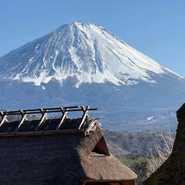 From Tokyo Private Mount Fuji & Hakone Day Trip With Pick Up - One long day from Tokyo to Mount Fuji and Hakone