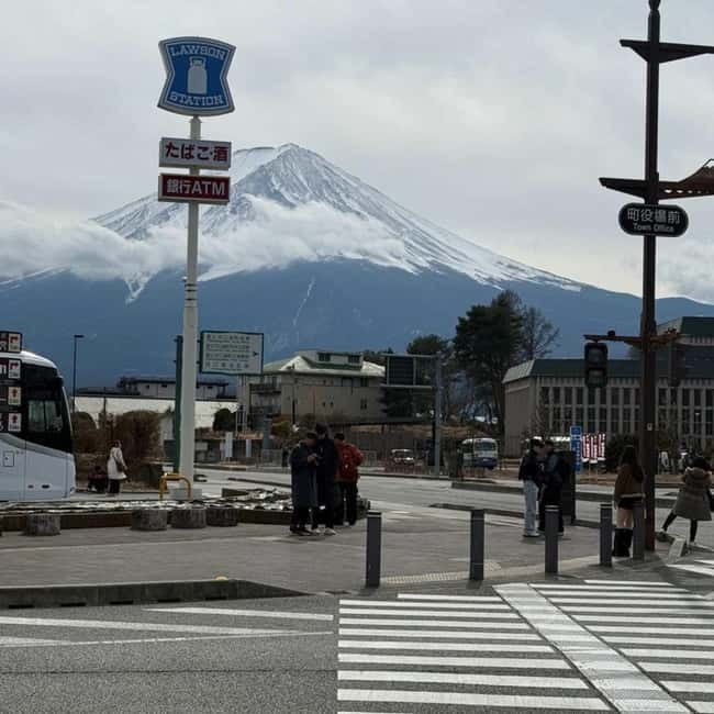 From Tokyo Private Mount Fuji & Hakone Day Trip With Pick Up - Pickup in Tokyo and the luxury vehicle question