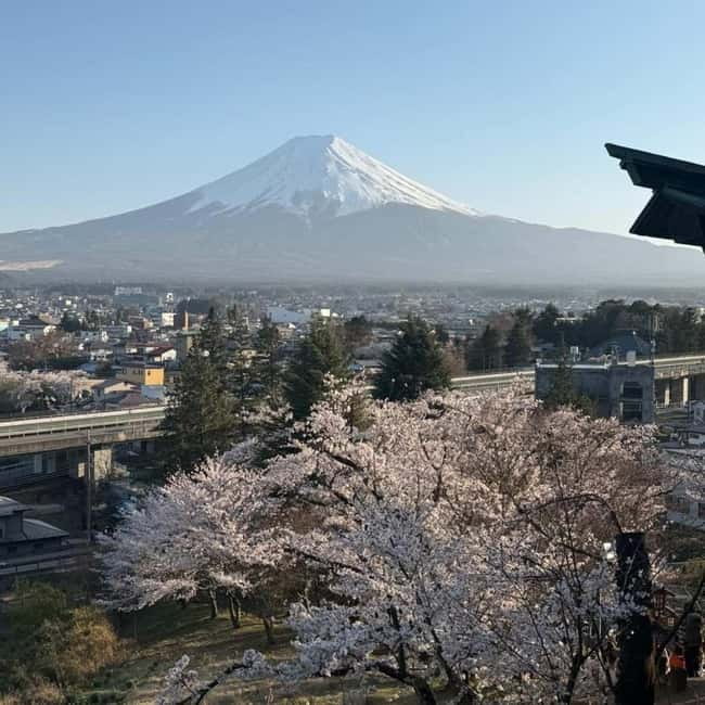 From Tokyo Private Mount Fuji & Hakone Day Trip With Pick Up - Gotemba Premium Outlets and the final choice