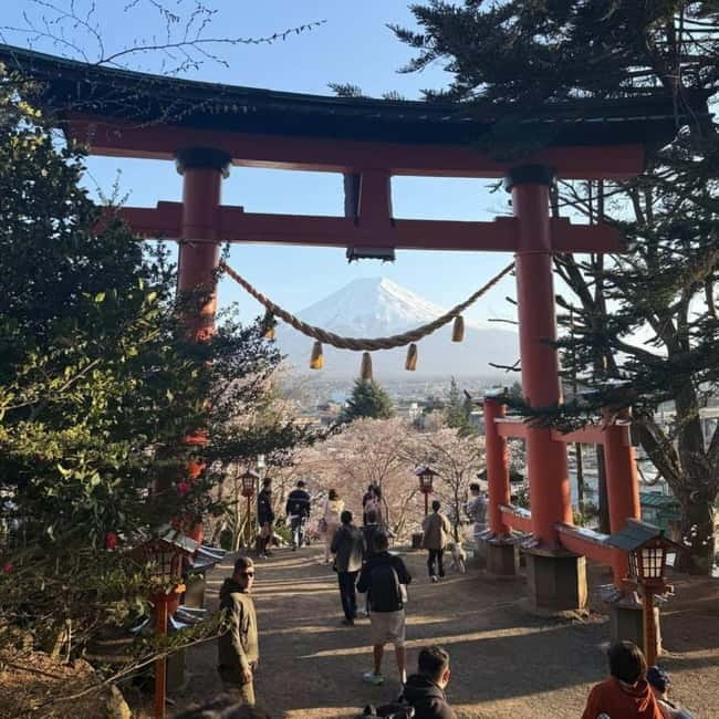From Tokyo Private Mount Fuji & Hakone Day Trip With Pick Up - Weather, admissions, and the small print