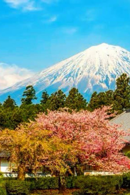 From Tokyo:private Mount Fuji tour with guide - Key points to know before booking