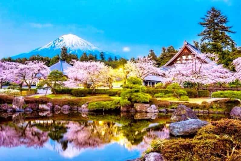 From Tokyo:private Mount Fuji tour with guide - Chureito Pagoda and the famous Fuji view