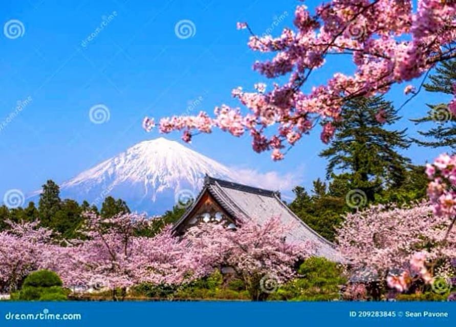 From Tokyo:private Mount Fuji tour with guide - Oshino Hakkai and its clear mountain ponds