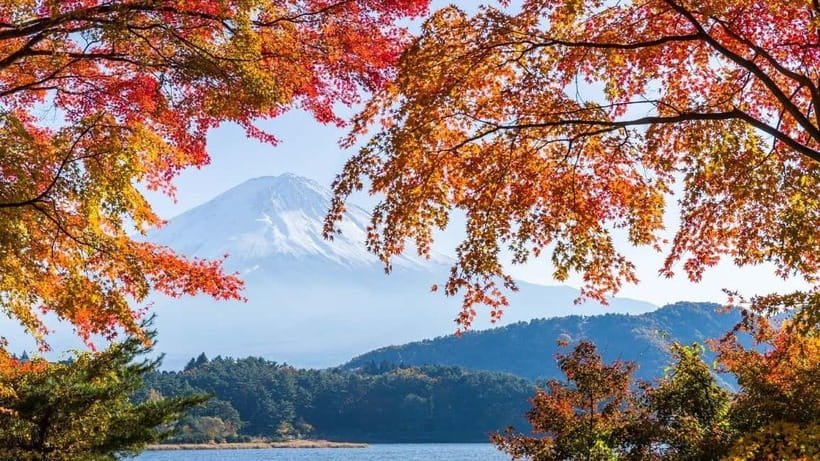 From Tokyo: Private Mt. Fuji and Hakone Tour by Car - Key points to know before booking