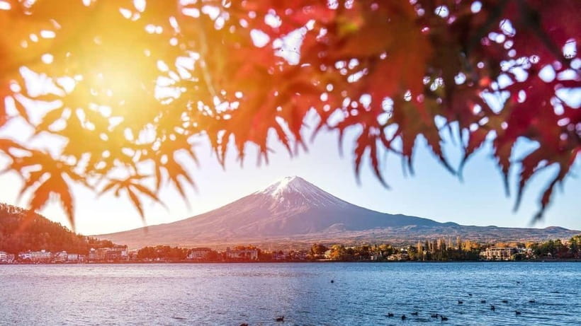 From Tokyo: Private Mt. Fuji and Hakone Tour by Car - Mt. Fuji’s 5th Station: the high viewpoint