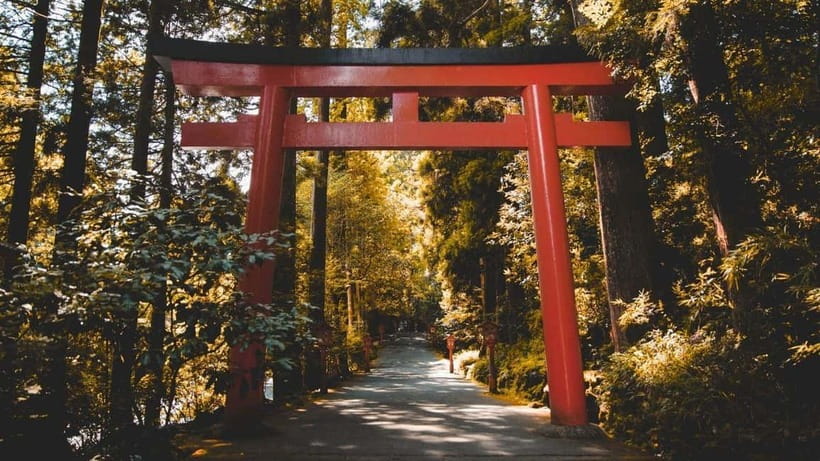 From Tokyo: Private Mt. Fuji and Hakone Tour by Car - Lake Yamanaka and the Fuji Five Lakes