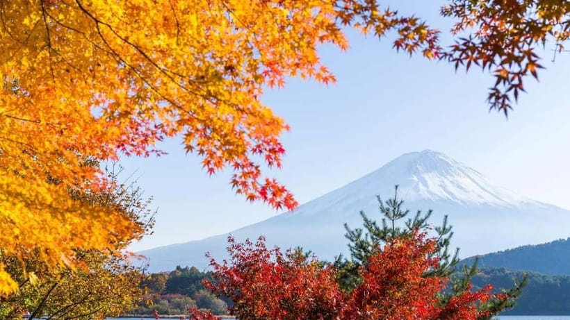 From Tokyo: Private Mt. Fuji and Hakone Tour by Car - Lunch in Hakone, with room for your own choice