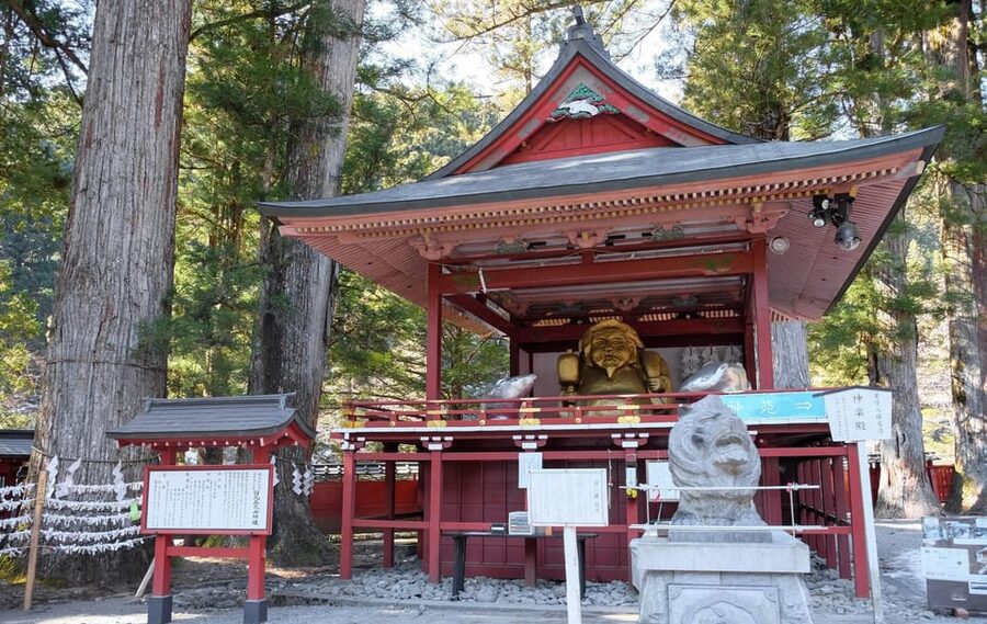 From Tokyo: Private Nikko World Heritage Sights Day Trip - Kegon Falls, the Big Natural Payoff