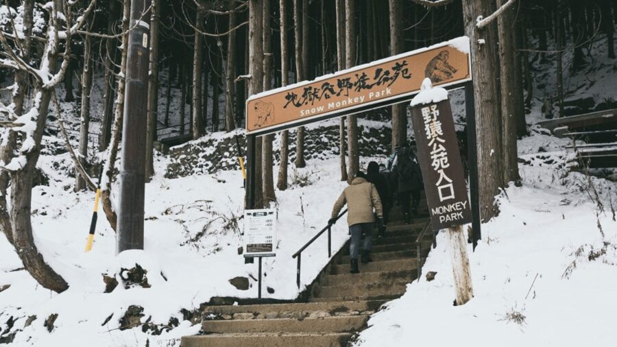 From Tokyo: Private Tour Snow Monkey Park & Zenko-ji Temple - Timing, weather, and practical limits