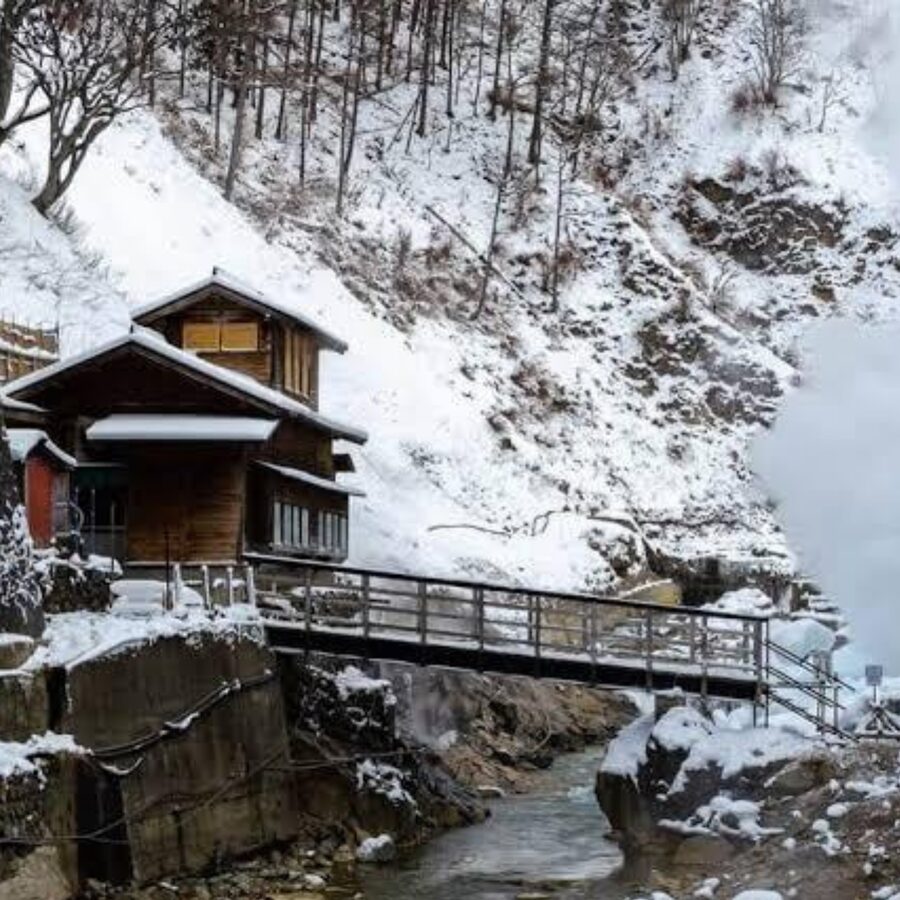 From Tokyo: Private Tour Snow Monkey Park & Zenko-ji Temple - Why the private format matters on this route