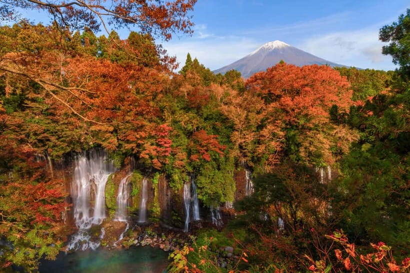 From Tokyo: Private Tour to Fuji/Hakone - Onsen, Art, Nature - Shakushi Pass and changing the pace