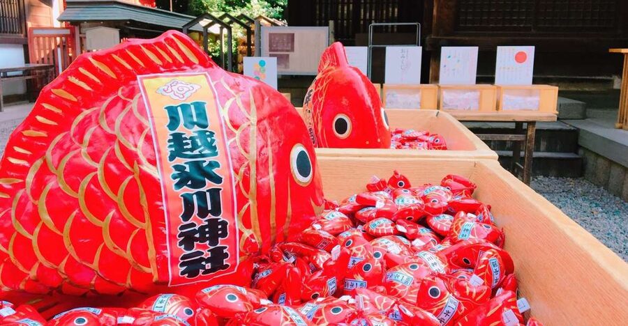From Tokyo: Round-Trip Fare to Kawagoe City - What the pass actually includes