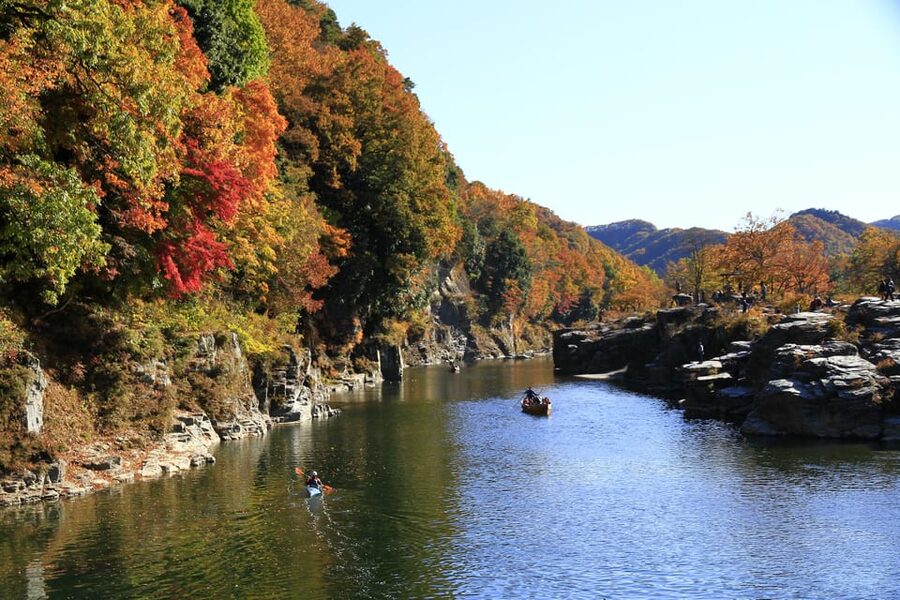 From Tokyo: Seibu Railway 1 Day Pass and Nagatoro - Hitsujiyama Park and the pink moss fields